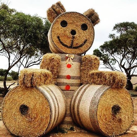 Tama Bales