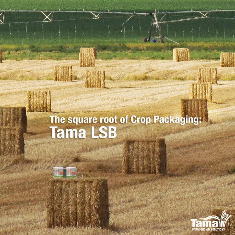 Tama LSB Twine