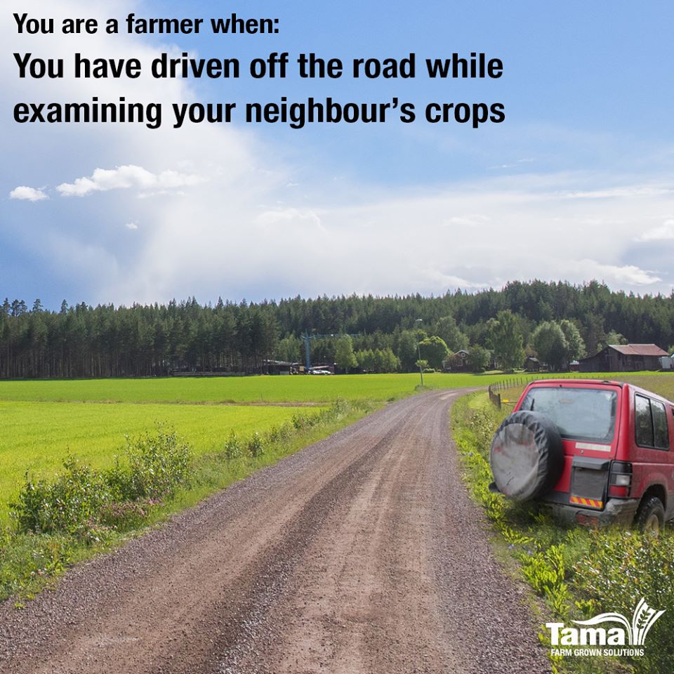 Watch the road