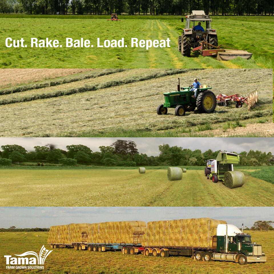 Baling season routine