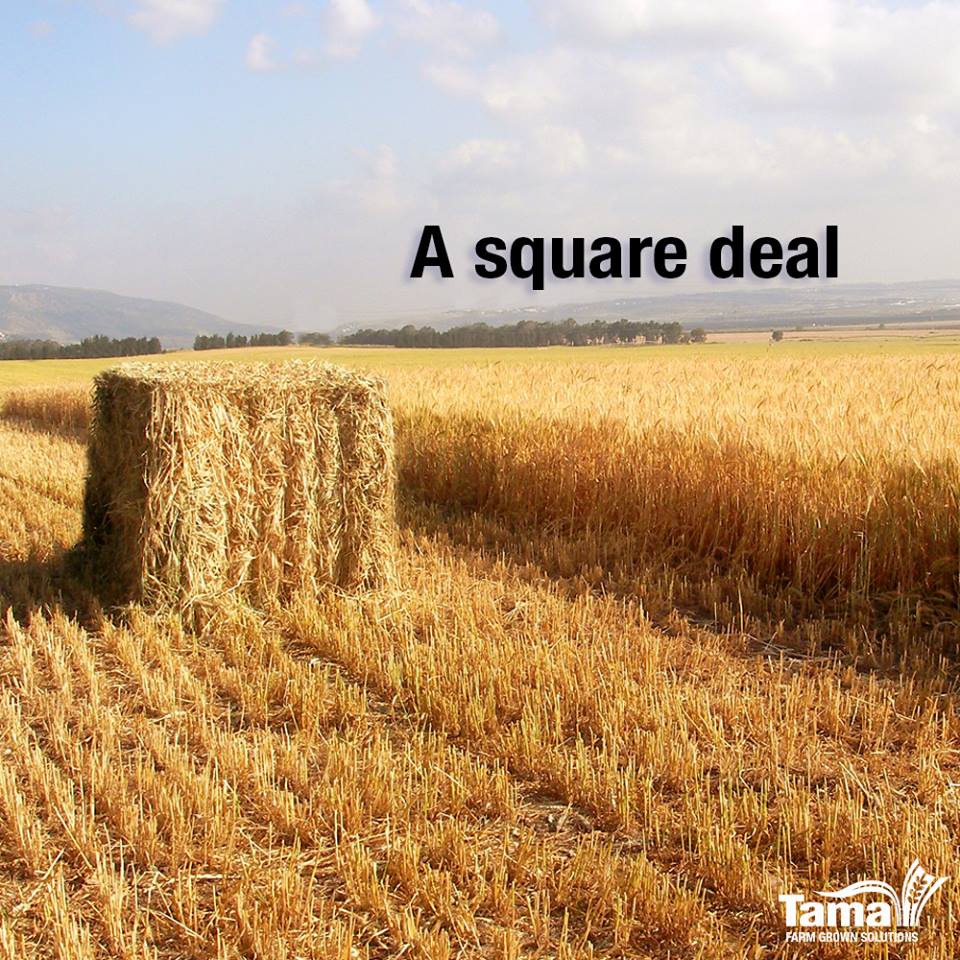 A square deal