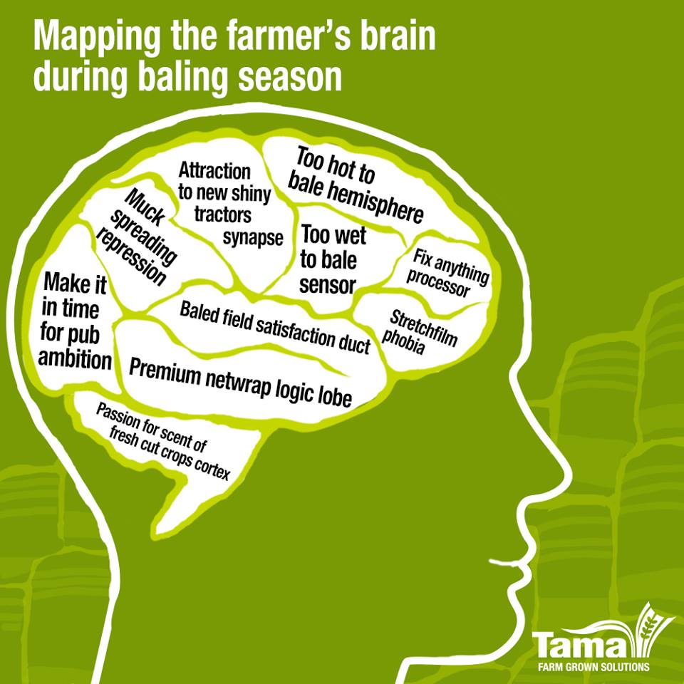 farmers brain