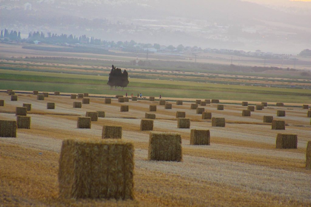 Baler Twine