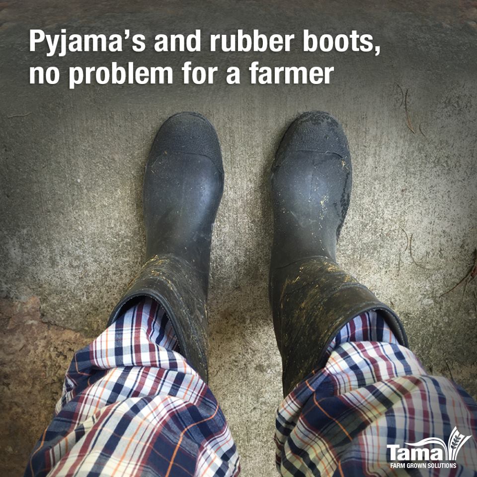 Farmer's rubber boots