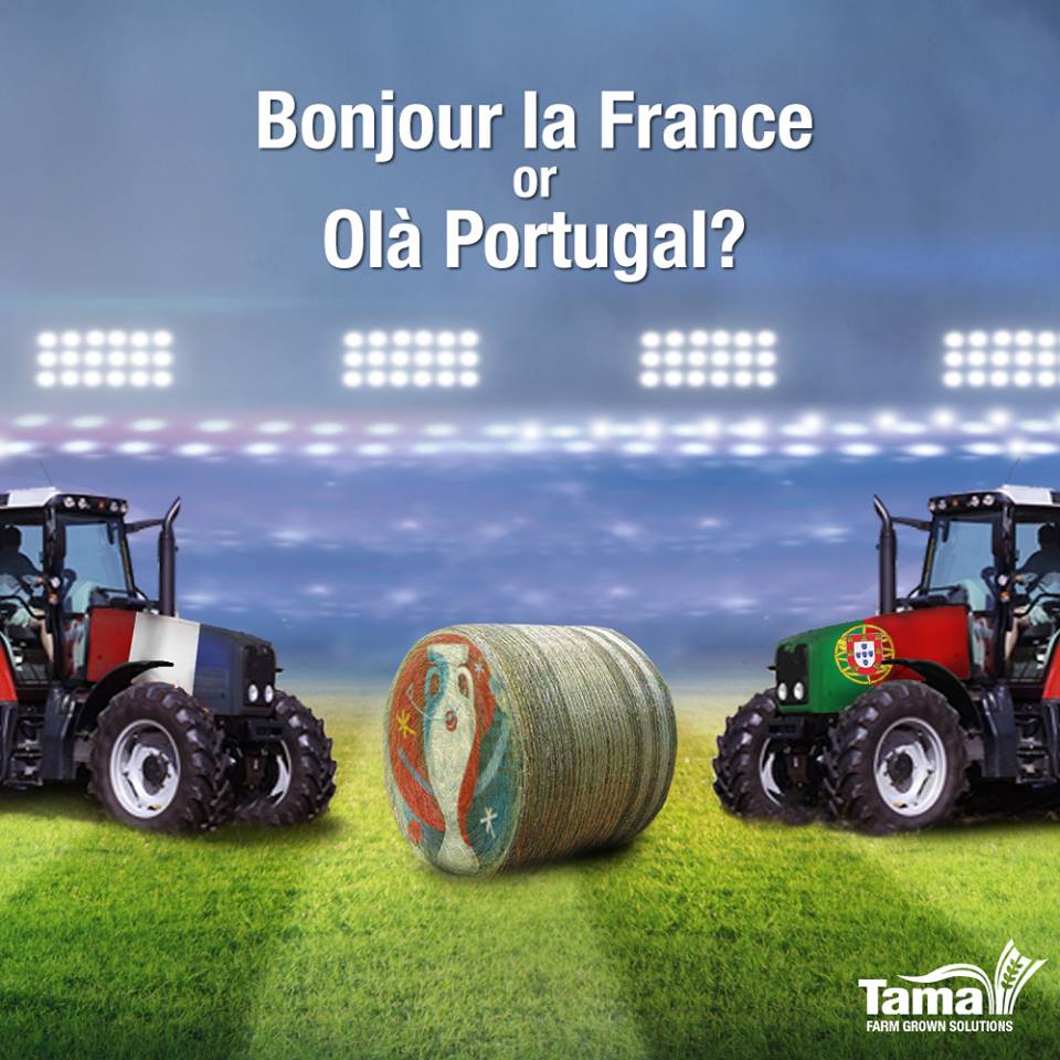 Euro 2016 Finals: The farm version