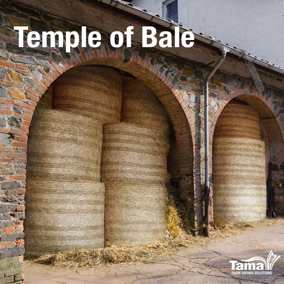 Temple of bale
