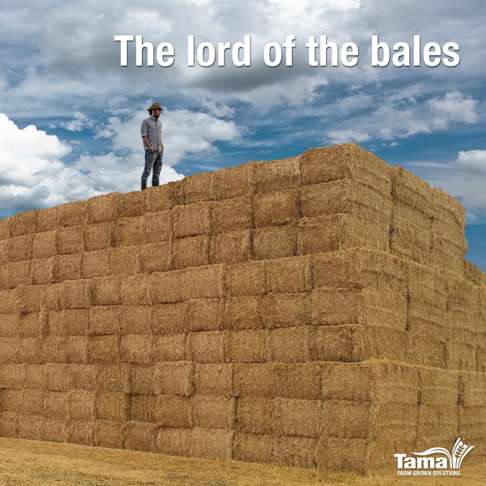The lord of the bales