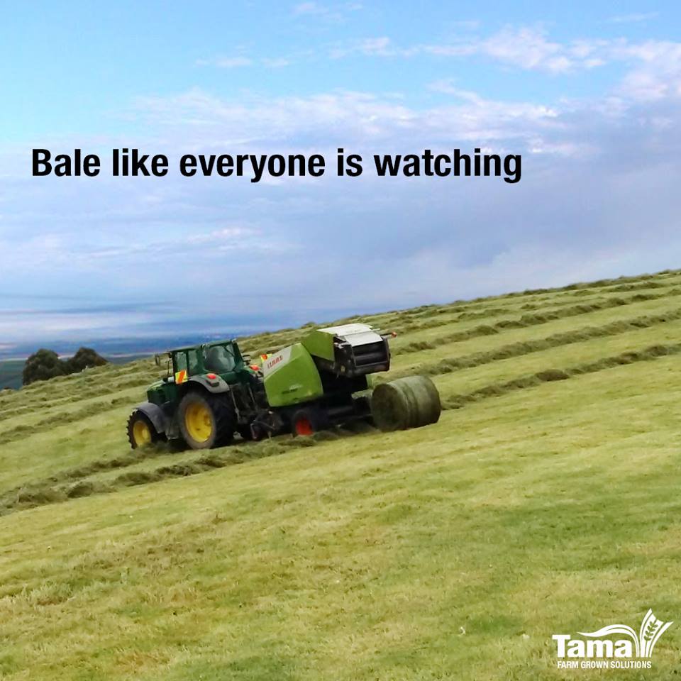 bale like everyone is watching