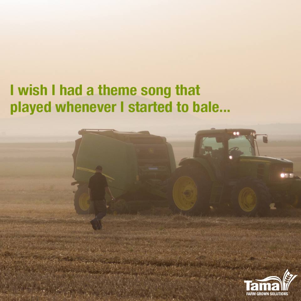 baling season