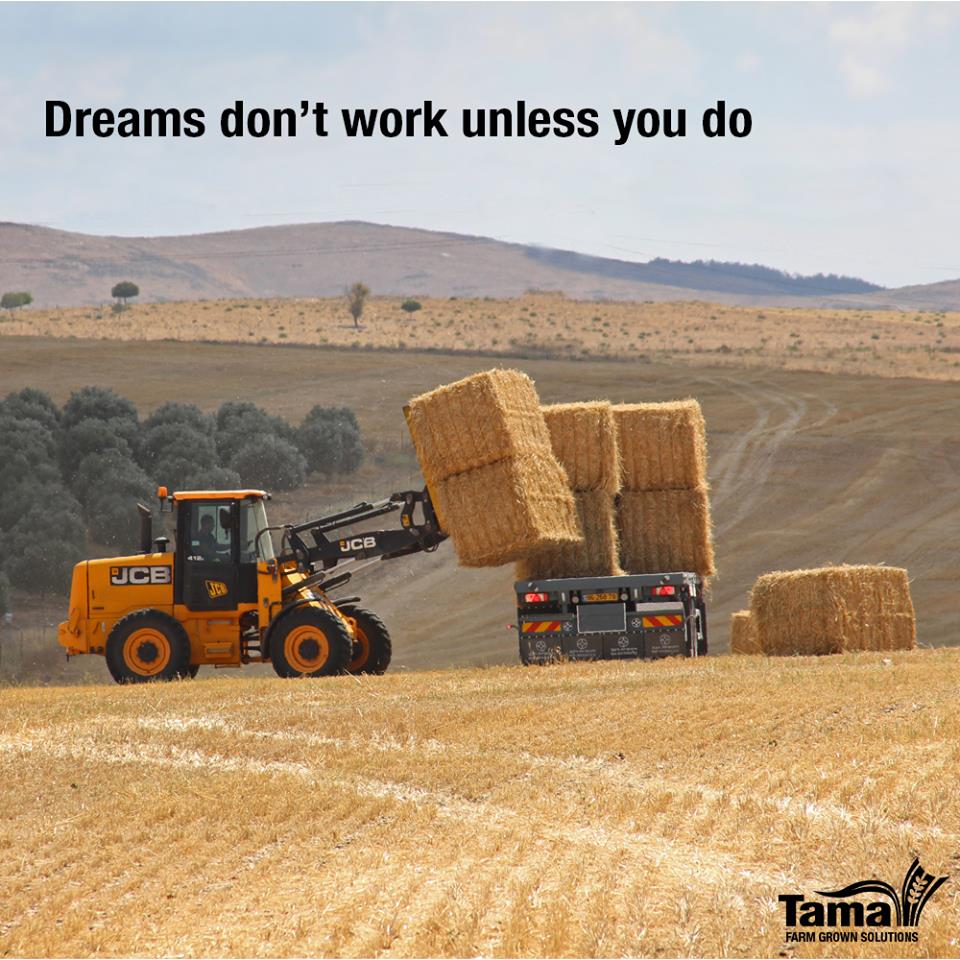 dreams dont work unless you do