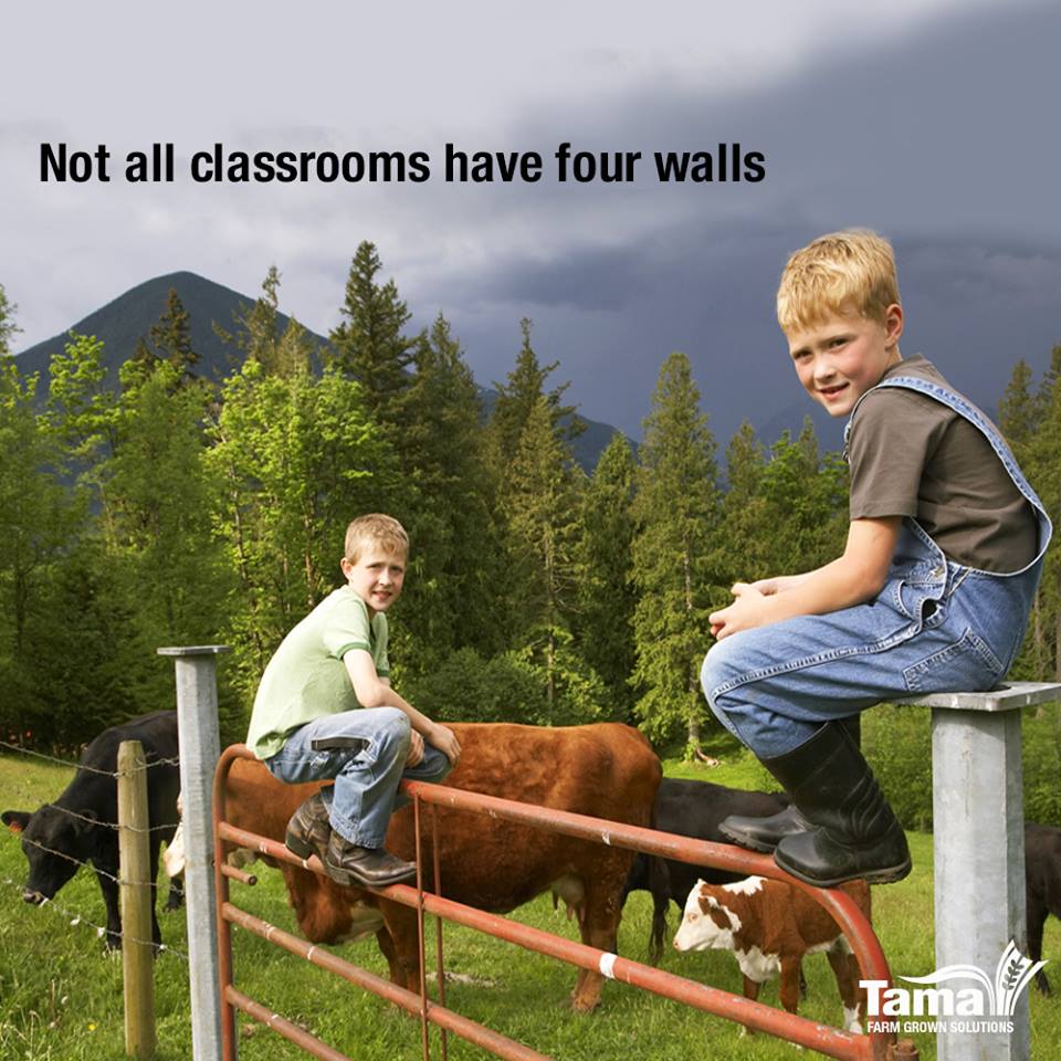 not all classrooms have four walls