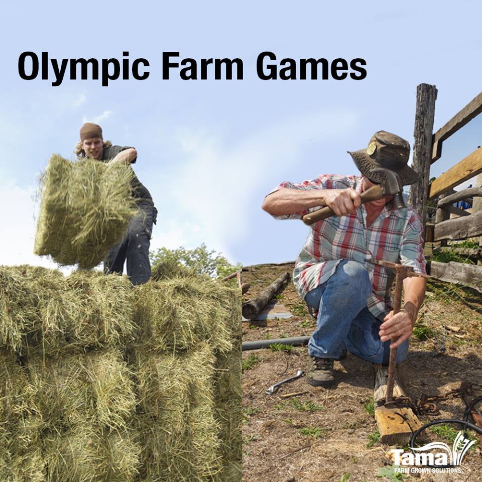 olympic farm games
