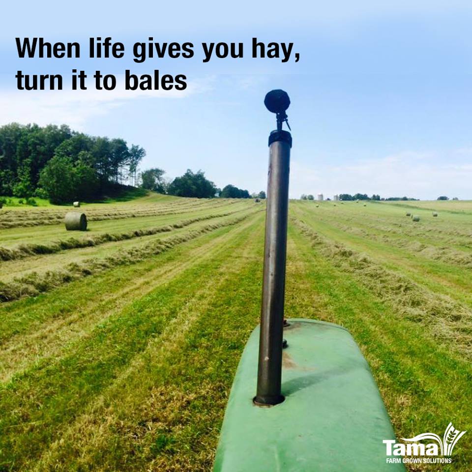 when life gives you hay, turn it to bales