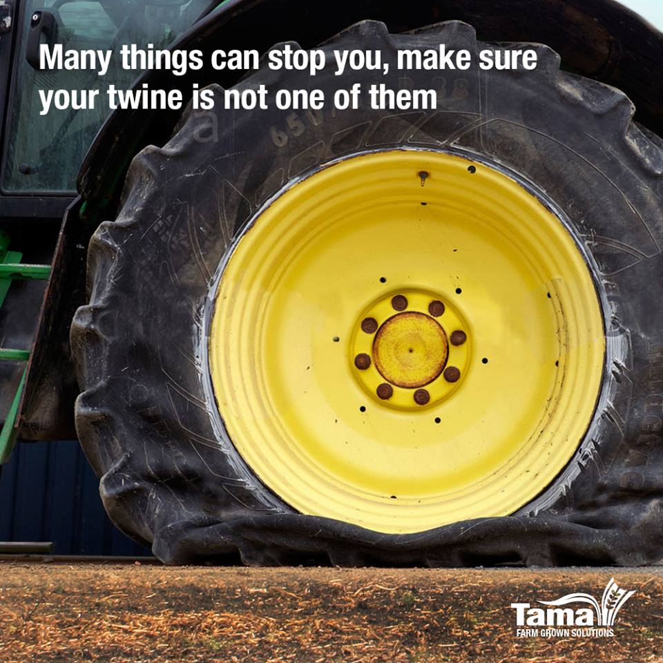Many things can stop you, make sure your twine is not one of them
