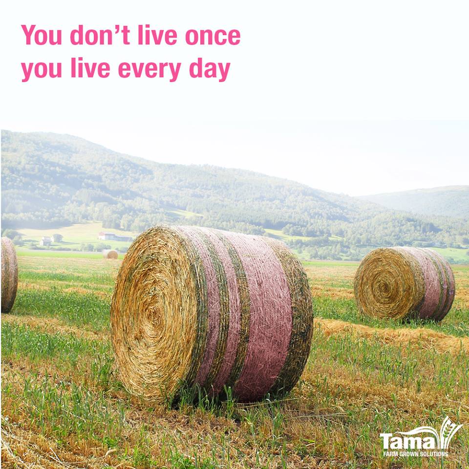 You don't live once You live every day