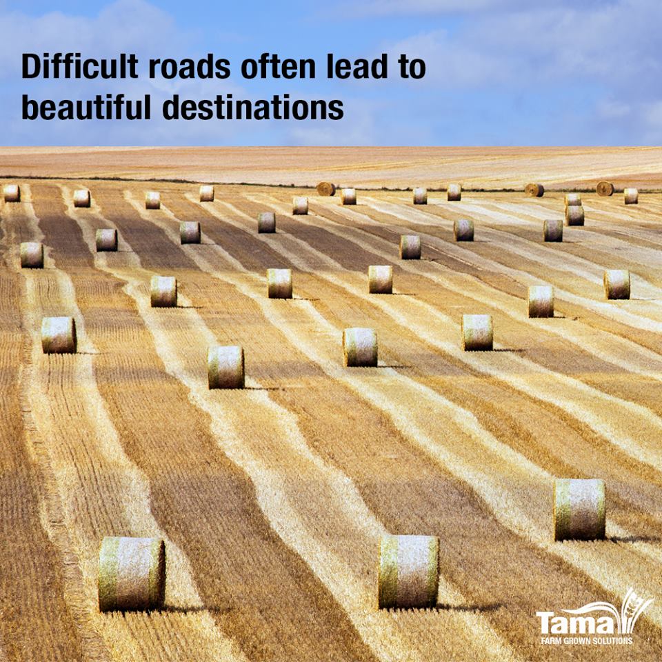 Difficult roads often lead to beautiful destinations