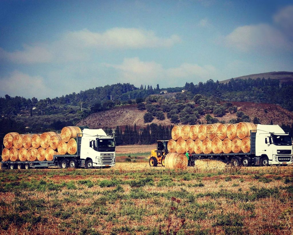 pic of the week- loading bales