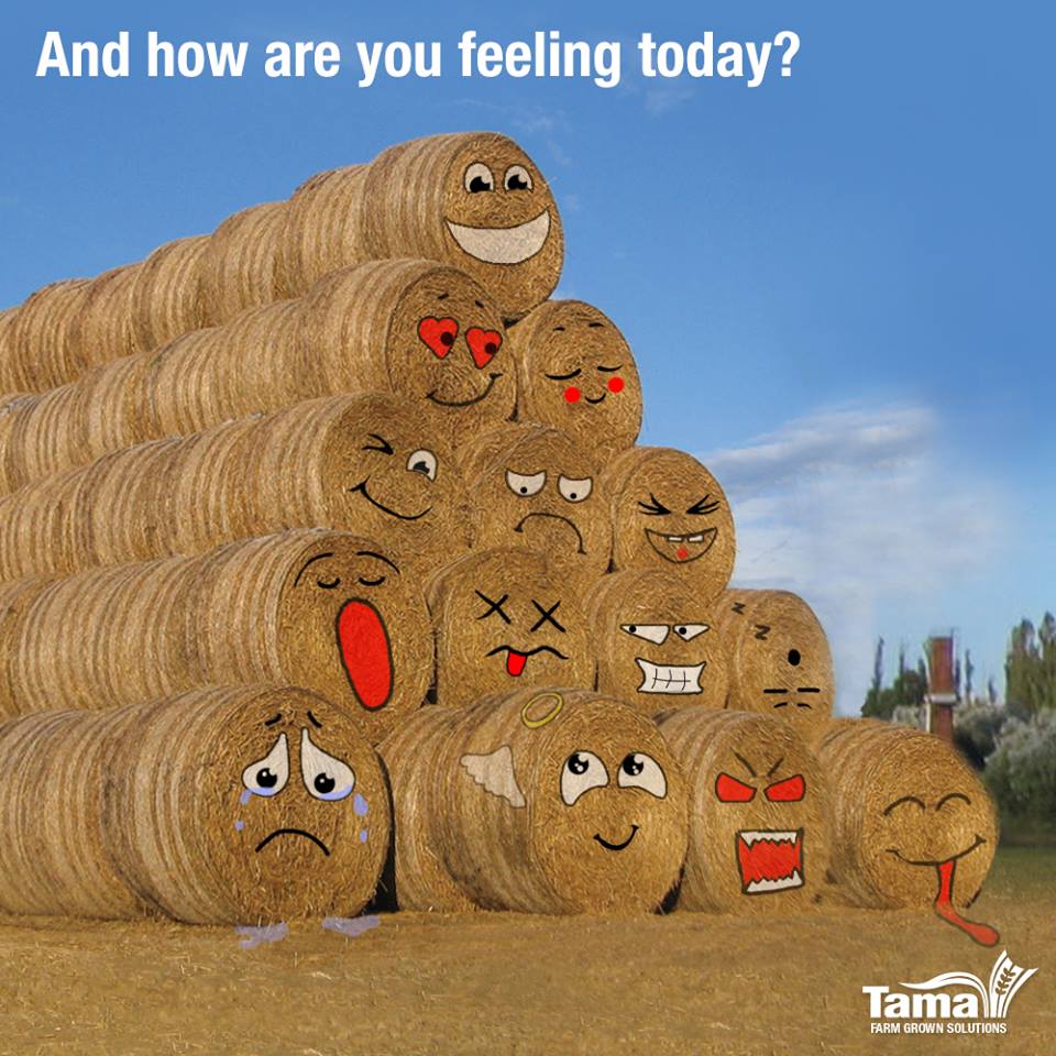 And how are you feeling today