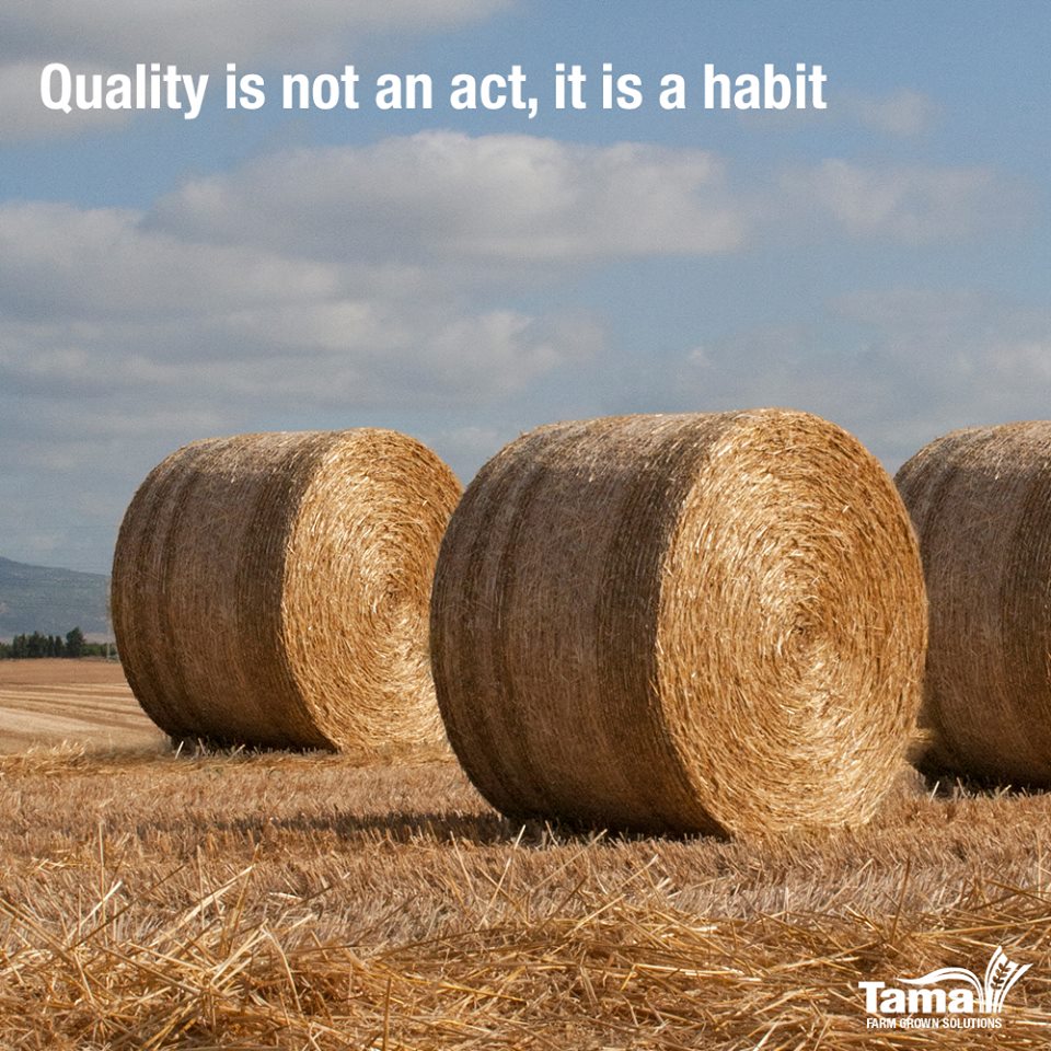 Quality is not an act, it is a habit