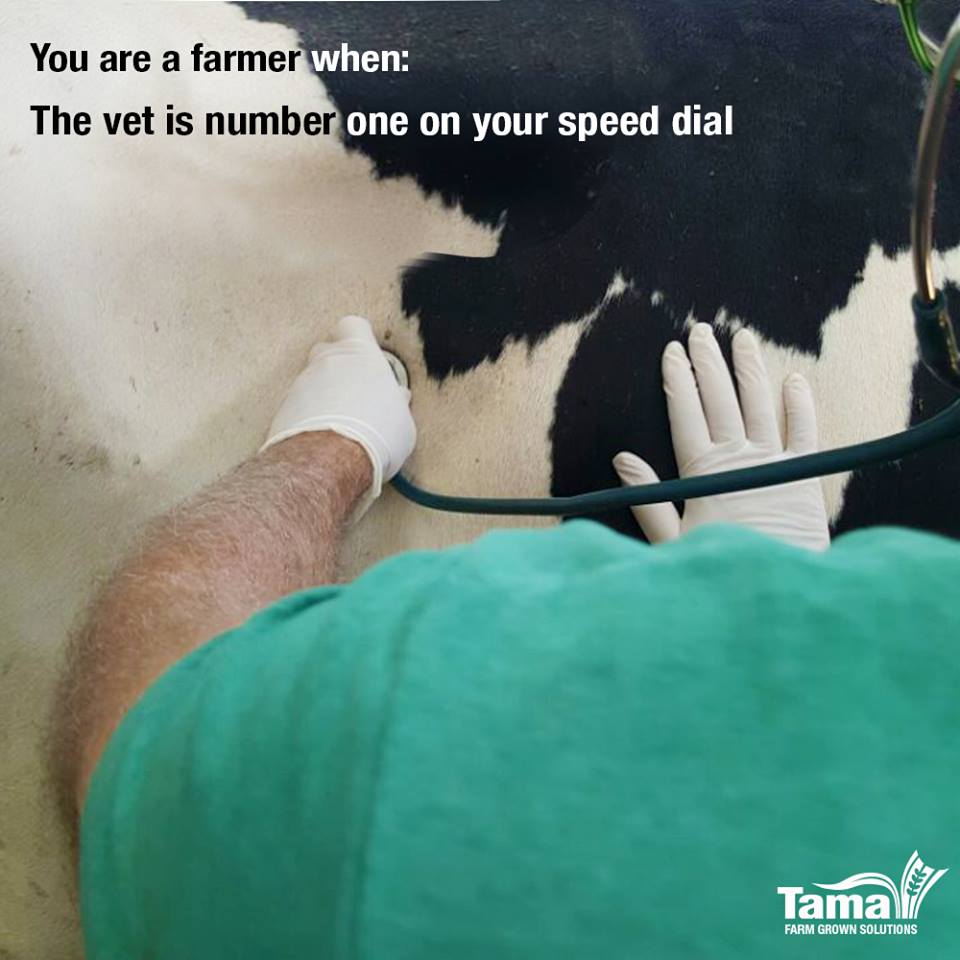 You are a farmer when