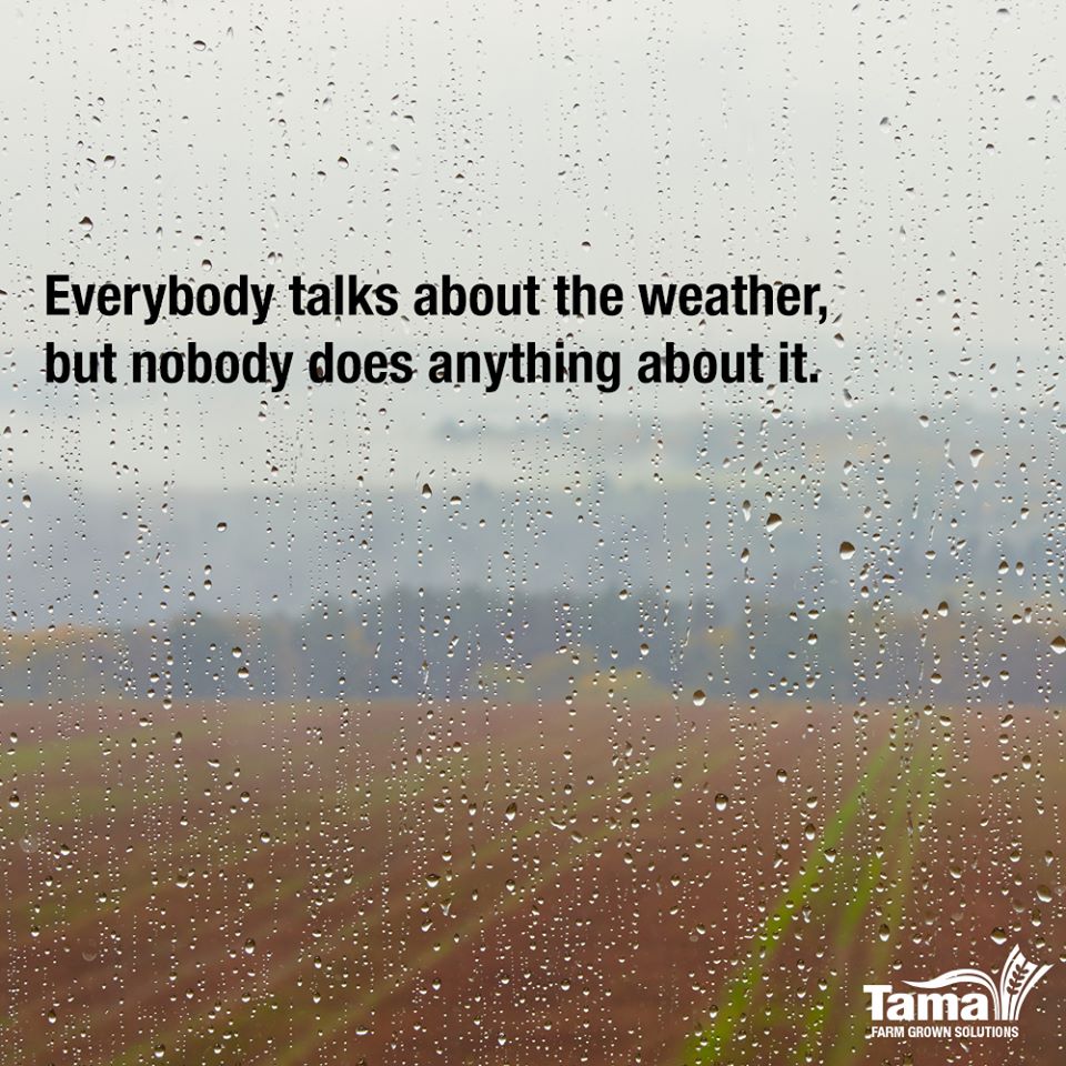 Everybody talks about the weather