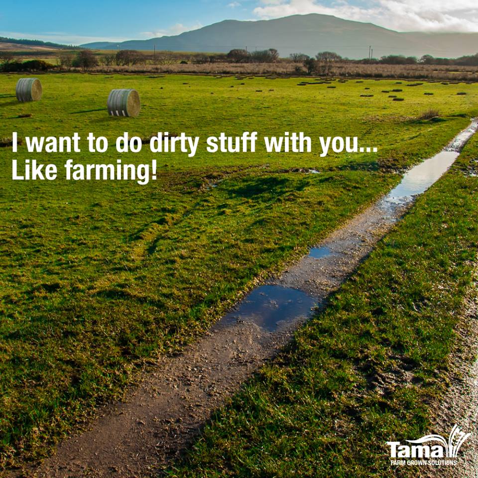 I want to do dirty stuff with you... Like farming!