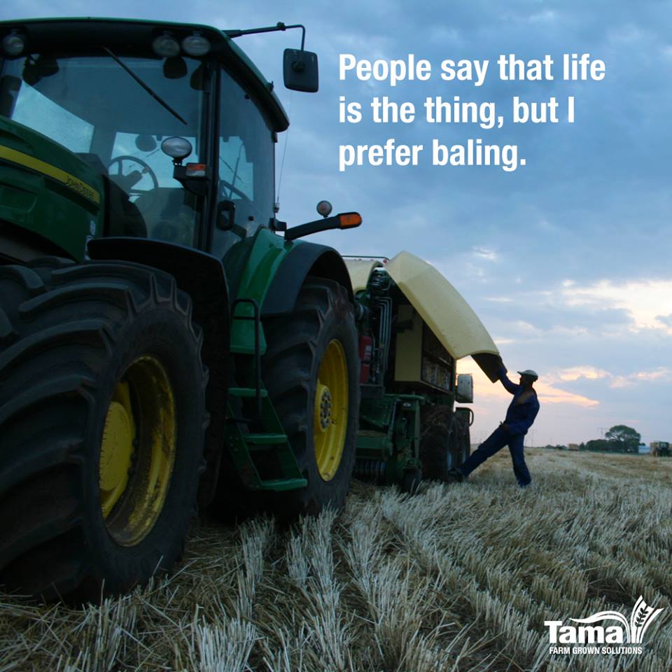 People say that life is the thing, but I prefer baling.