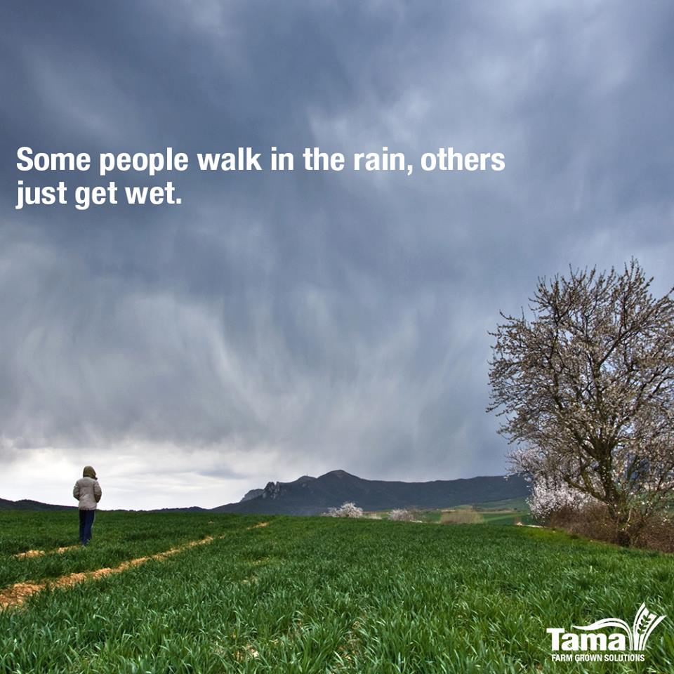 Some people walk in the rain, others just get wet.