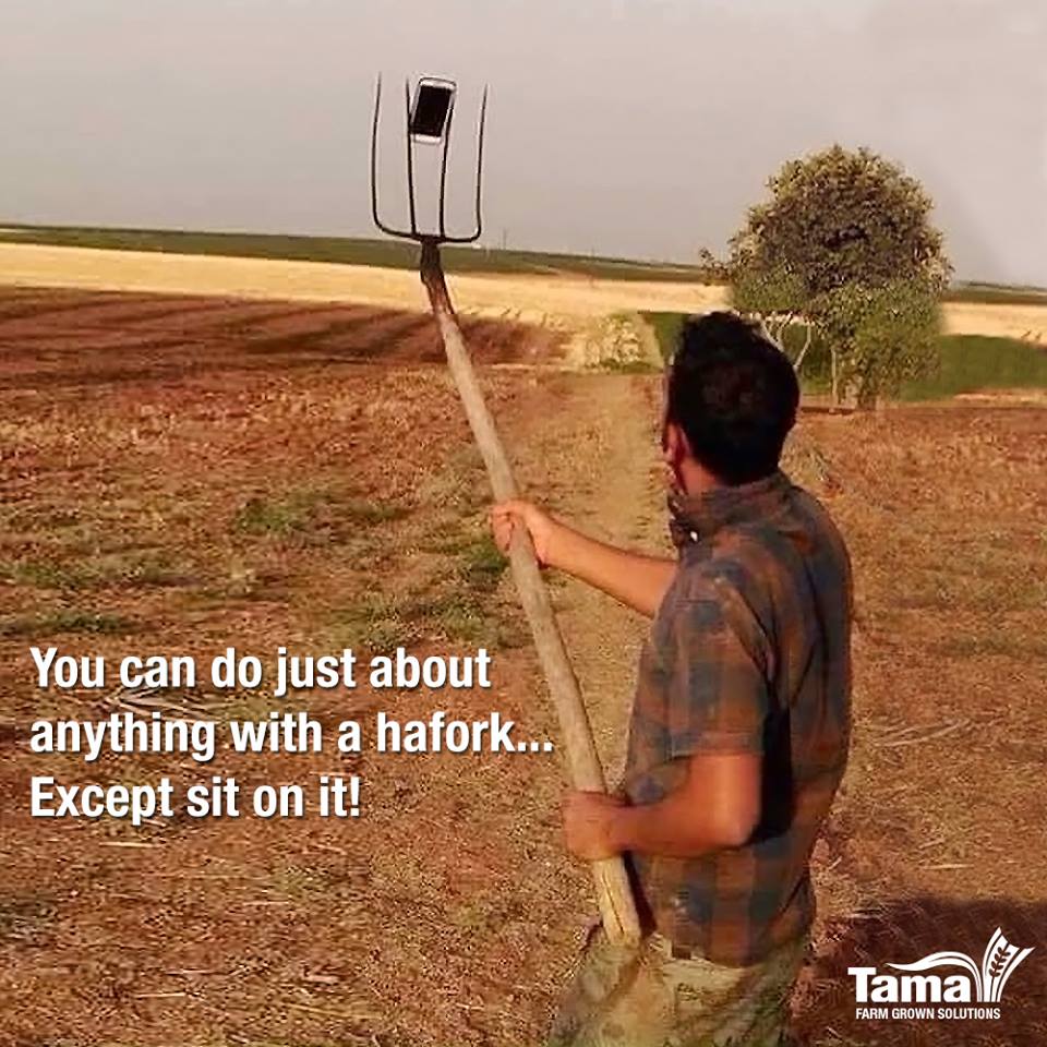 You can do just about anything with a hayfork... Except sit on it!