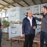 תמה תעשיית פלסטיק